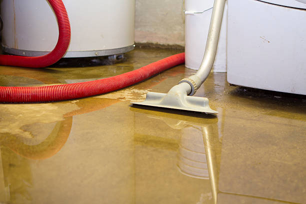 Best Mold removal after water damage  in Riverside, MO