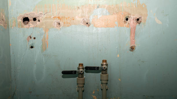 Best 24-hour water damage restoration  in Riverside, MO