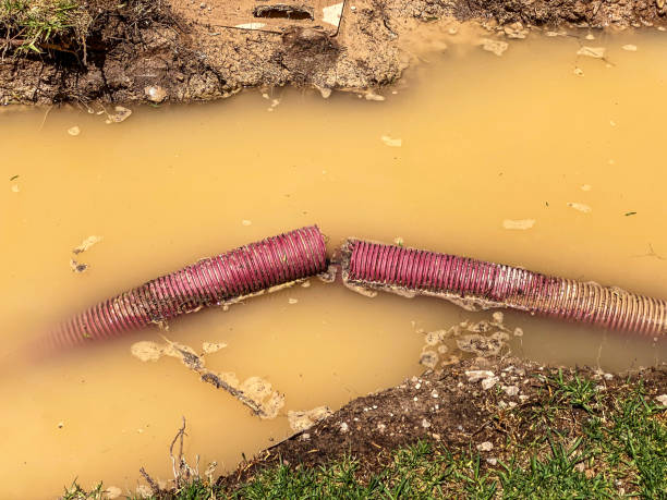  Riverside, MO Water damage restoration Pros