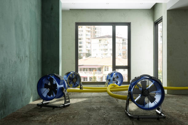 Professional Water damage restoration in Riverside, MO